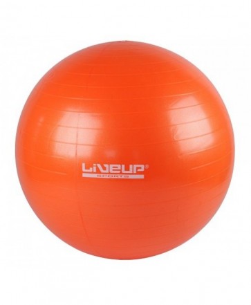 Фитбол LiveUp GYM BALL LS3221-55o