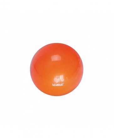 Фитбол LiveUp MINI BALL LS3225-25o