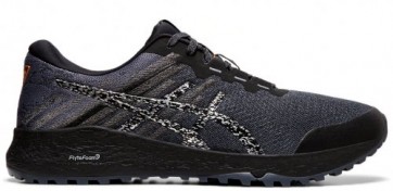 Кроссовки беговые ASICS ALPINE XT 2 1011A564-020