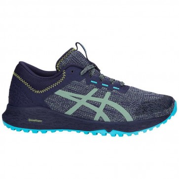 Кроссовки для бега женские ASICS ALPINE XT T878N - 021