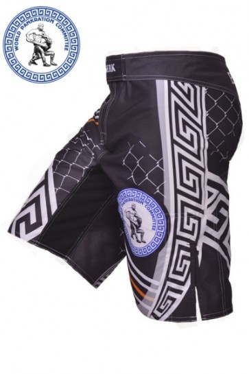 Шорты BERSERK SPORT for Pankration 3D APPROVED WPC black