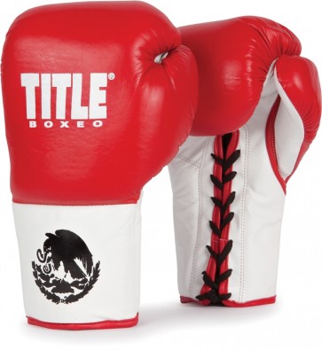 Профессиональные перчатки для бокса TITLE Boxeo Authentic ProFight Gloves