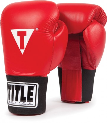 Перчатки для спаррингов TITLE Professional Training Gloves
