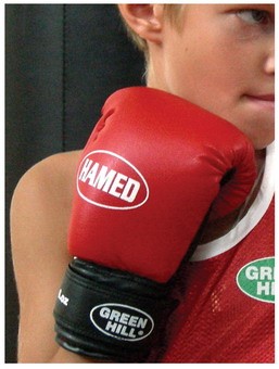 Детские боксерские перчатки "HAMED"