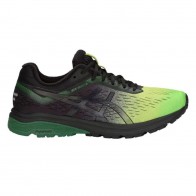 Кроссовки для бега ASICS GT-1000 7 SP 1011A134 - 300