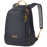 Рюкзак Jack Wolfskin Perfect Day серый