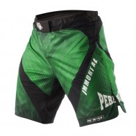 Шорты Peresvit Immortal Fightshorts Green Lantern