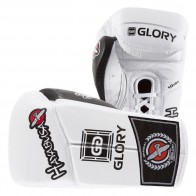 Боксерские перчатки HAYABUSA Glory Laced Gloves