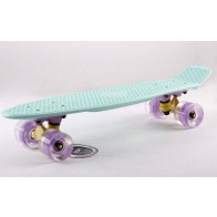 Penny (пенниборд) PU однотонная дека 22inch колесо светящ. SK-405-9 LED WHEELS FISH