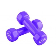 Гантели для фитнеса винил Радуга (2*0,5кг) TA-0001-0,5кг