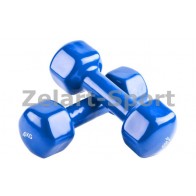 Гантели для фитнеса винил Радуга (2*4кг) TA-0001-4kg