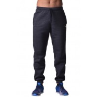 Штаны BERSERK PREMIUM dark grey (с начесом)