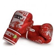 Боксерские перчатки GREEN HILL 007