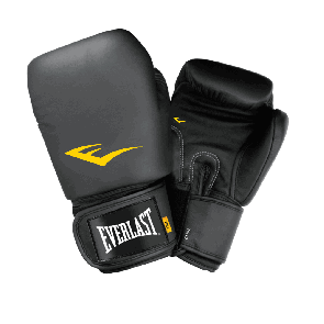 Перчатки для тайского бокса Everlast THAI
