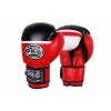Боксерские тренировочные перчатки Pro Boxing Starter Gloves