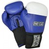 Перчатки боксерские для соревнований RING TO CAGE RCAFGB