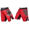 Шорты для MMA BERSERK HONOR red