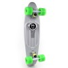 Скейт Penny Board  COLOR POINT FISH SK-403-15