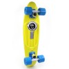 Скейт Penny Board  COLOR POINT FISH SK-403-5