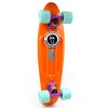 Скейт Penny Board  COLOR POINT FISH SK-403-6