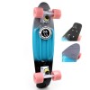 Скейт Penny Board Fish Color Point SK-407-1